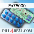 Fx75000 new02